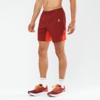 Rojos